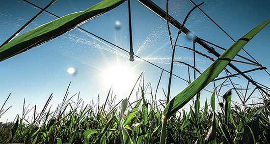 An irrigation system provides water to a field of crops.