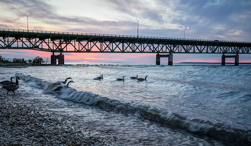 A sunset behind a bridge with birds swimming in the water to indicate the Line 5 Pipeline region
