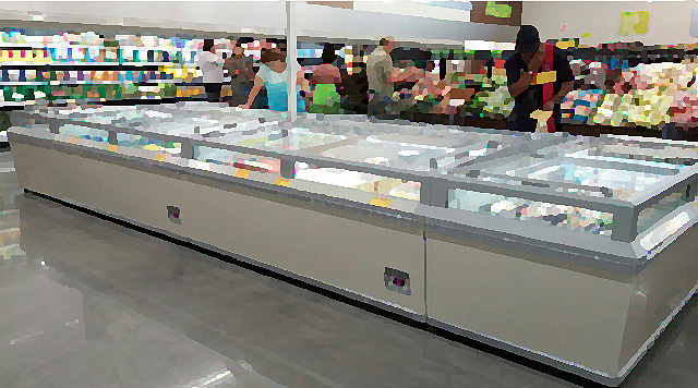 Customers shop in a frozen food section.