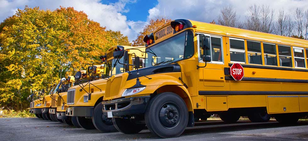 A row of parked yellow school buses