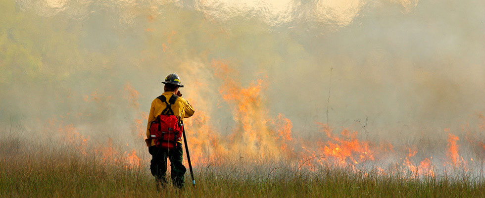 A firefighter points a hose at a wildfire in the middle of a grassy area