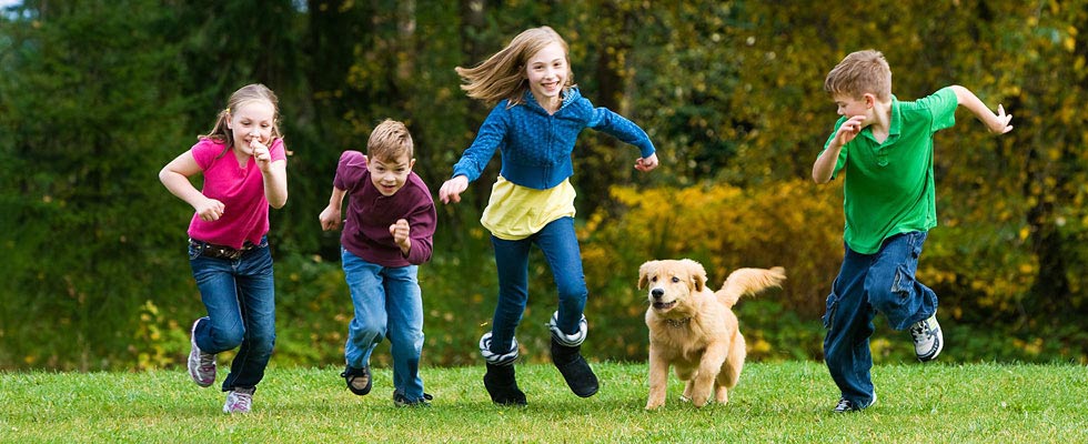 Four children and a dog run and play through a field