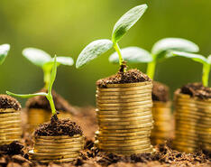 Gold coins are depicting as taking root and growing up from the ground.