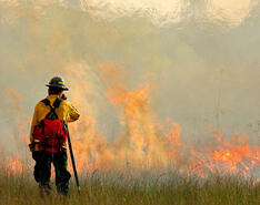 A firefighter points a hose at a wildfire in the middle of a grassy area