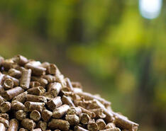 Woody biomass is pictured with a forest backdrop.