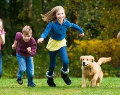 Four children and a dog run and play through a field