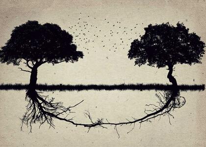 Two trees are interconnected by the same root system, symbolizing successful propane acquisition strategies.