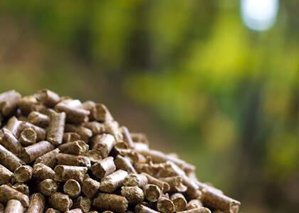 Woody biomass is pictured with a forest backdrop.